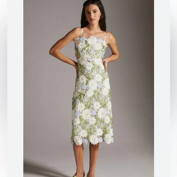 Eva Franco Anthropologie Floral Lace Midi Dress - Picture 1 of 10